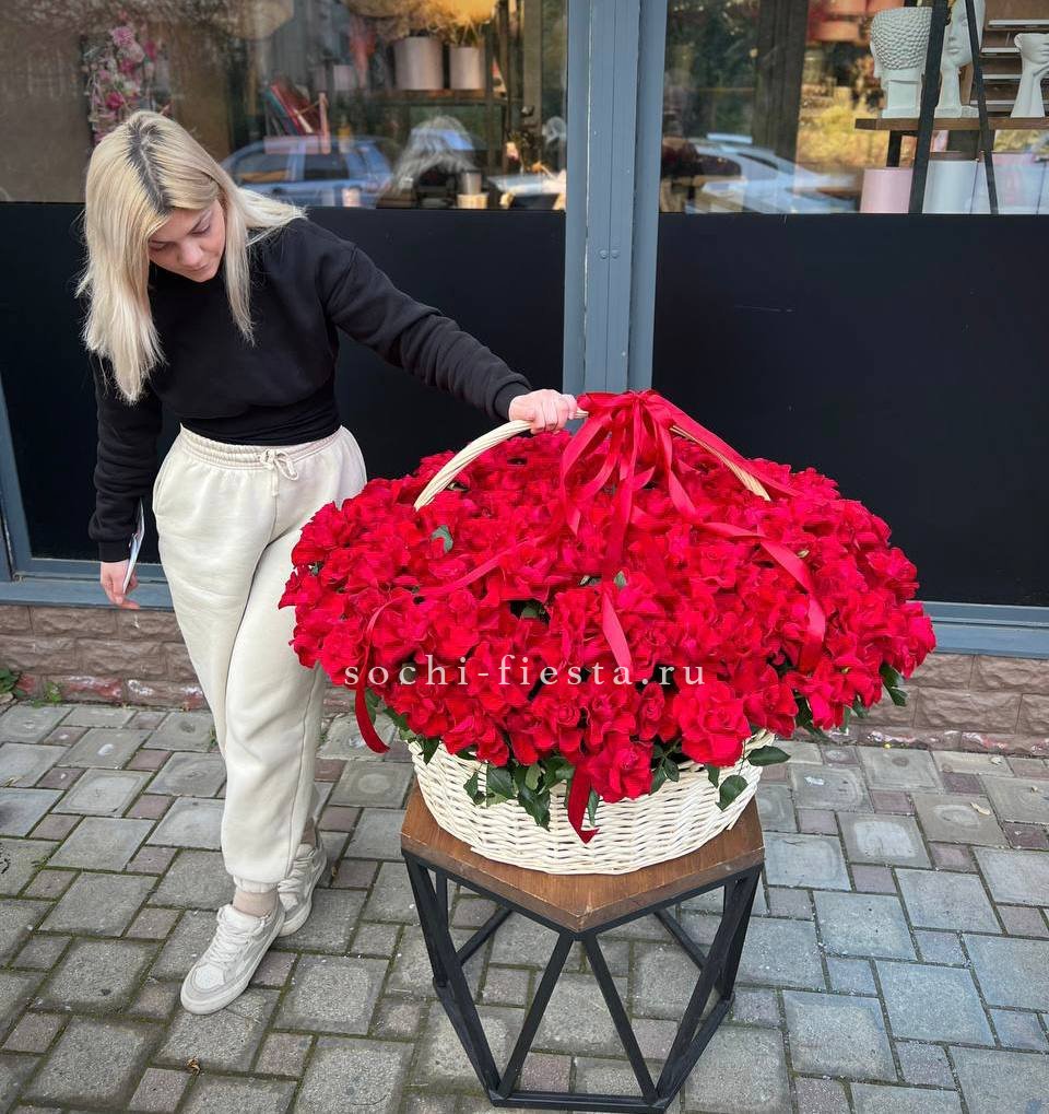 201 французская красная роза в Адлере