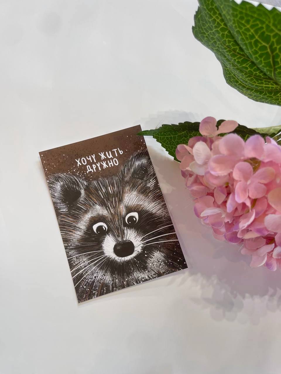 Карточка к букету "Енотик" в Адлере