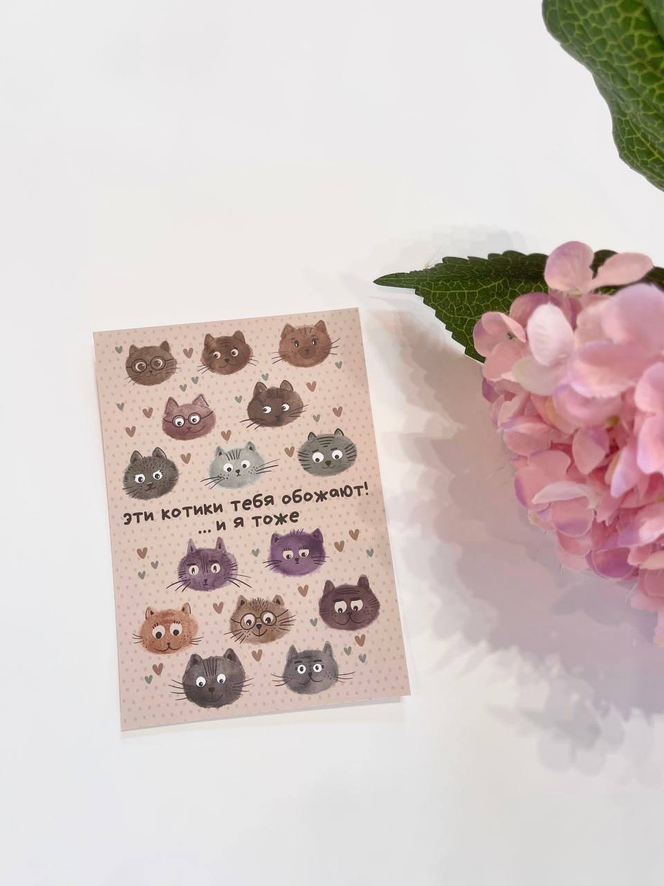 Карточка к букету "Котики" в Адлере
