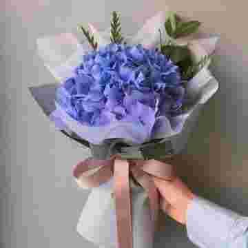 Гортензия "Blue" в Адлере