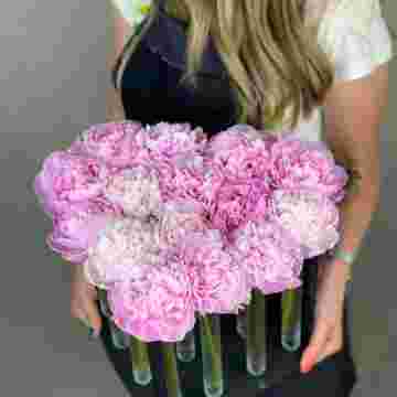 Woodbox Peony Heart в Адлере