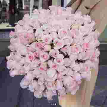 Pink boom в Адлере