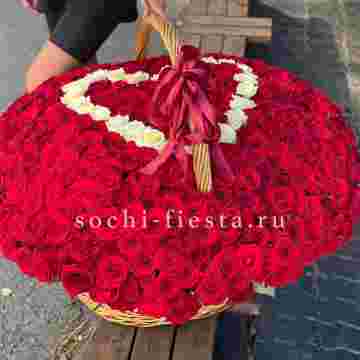 505 роз в Адлере