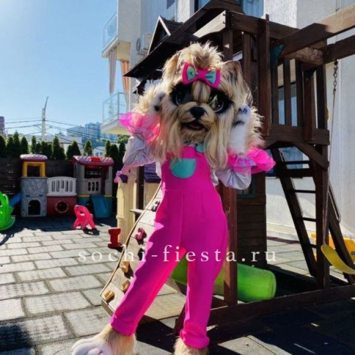 Аниматор Гламурная Собака в Адлере