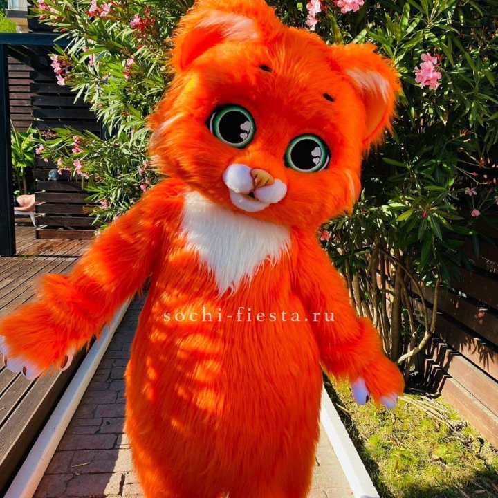 Аниматор Котик в Адлере