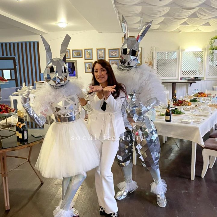 Аниматор Зеркальный заяц в Адлере