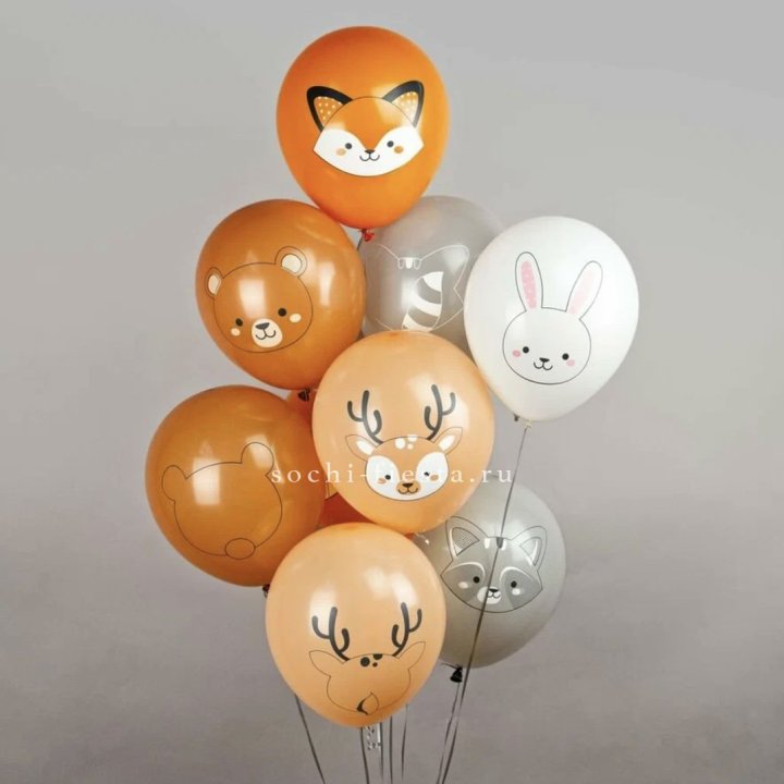 Воздушный шар "Животные" в Адлере