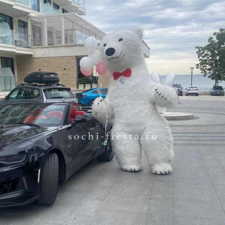 Аниматор Белый Медведь в Адлере