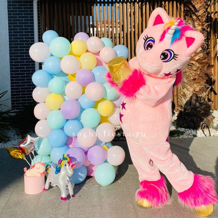Аниматор Единорог в Адлере