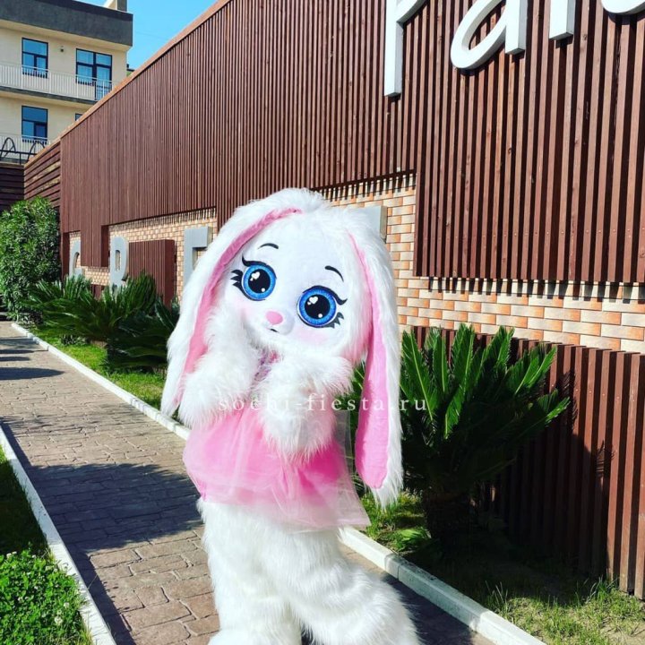 Аниматор Зайка в Адлере