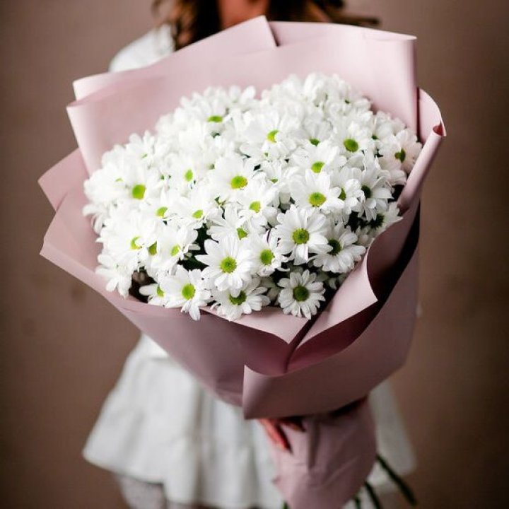 Букет хризантем №2 в Адлере