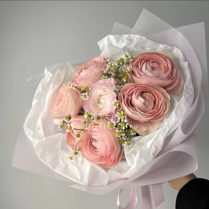 Ранункулюсы с ромашками в Адлере