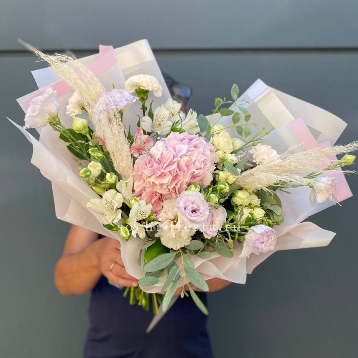 Гортензия "Pink Floyd" в Адлере