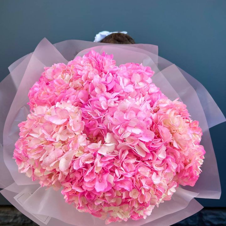 9 ярко розовых гортензий в Адлере