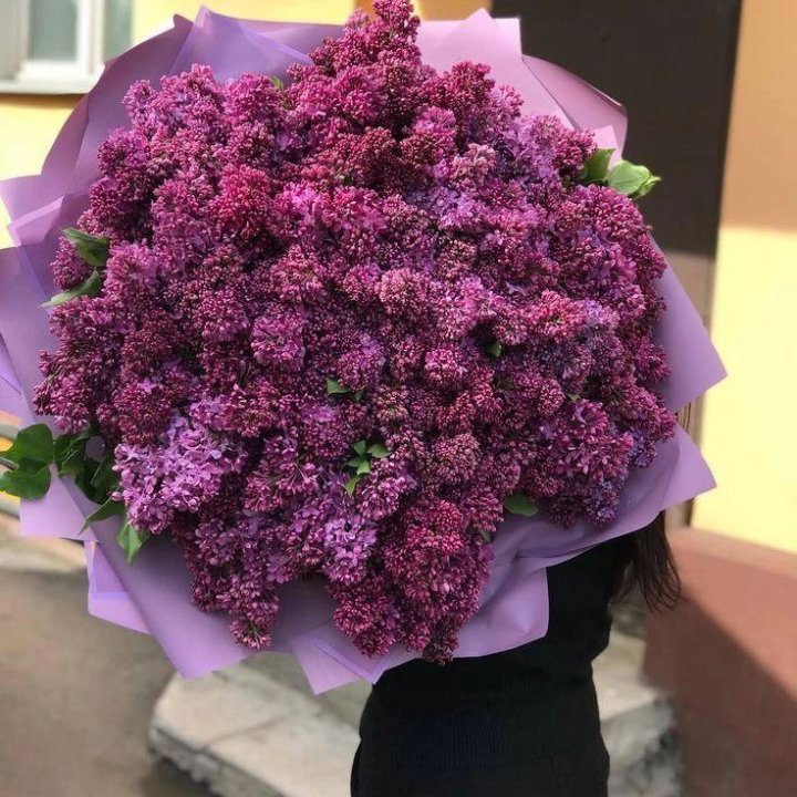 51 сирень в букете в Адлере