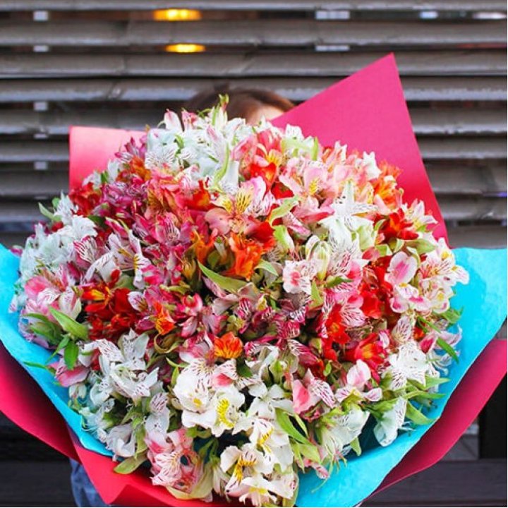 101 альстромерия в Адлере