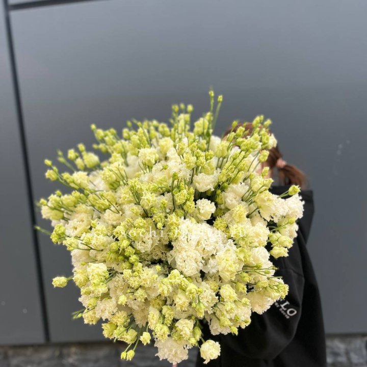 51 белая эустома в Адлере