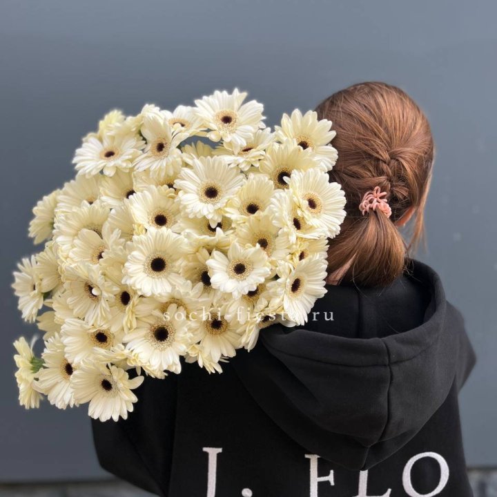 51 гербера в Адлере