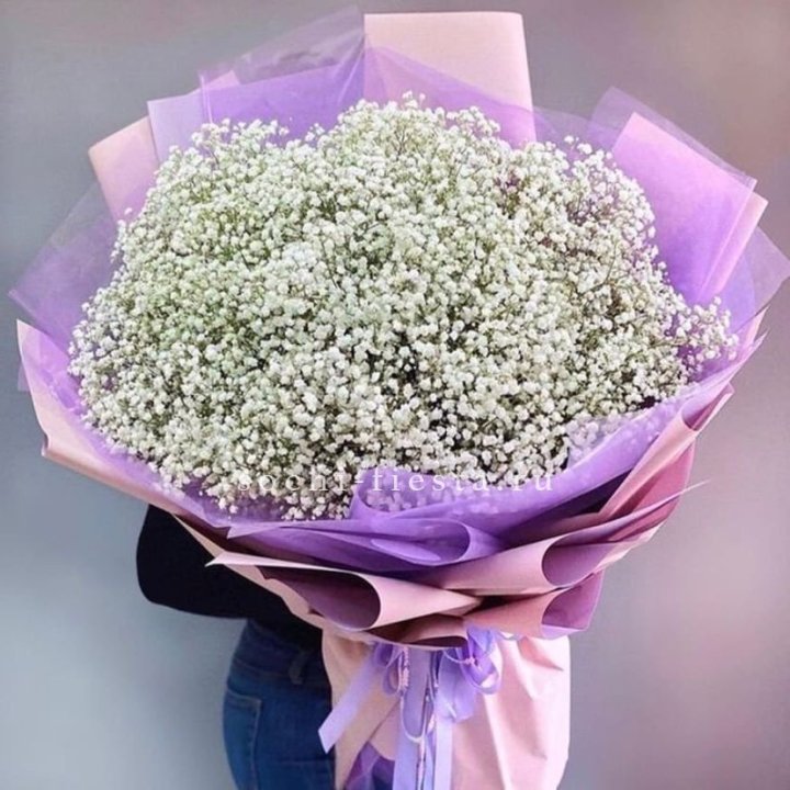 Облако белых гипсофил в Адлере