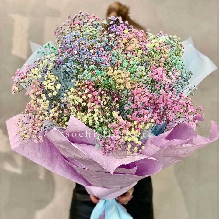 Радужные гипсофилы №2 в Адлере