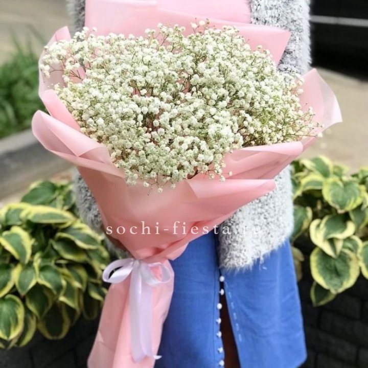 Белоснежные гипсофилы в Адлере