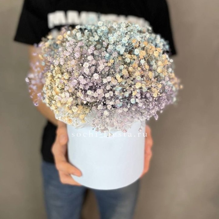 9 Радужных гипсофил в шляпной коробке в Адлере