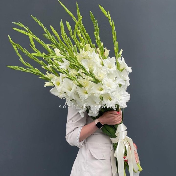 19 белых гладиолусов под ленту в Адлере