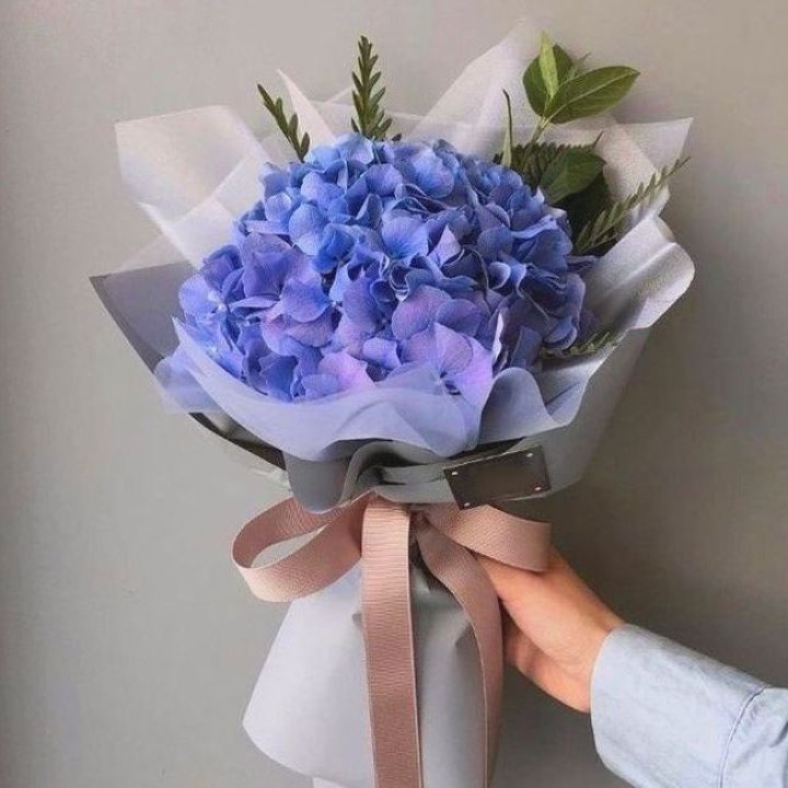 Гортензия голубая в Адлере