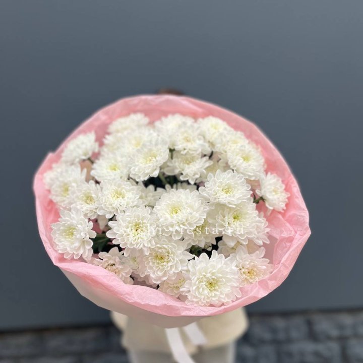  5 хризантем  в Адлере