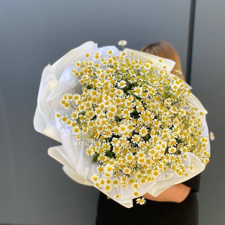 Букет ромашек "Фемели" в Адлере
