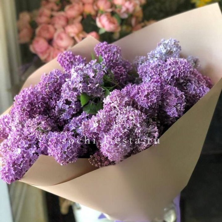 Букет сирени №2 в Адлере