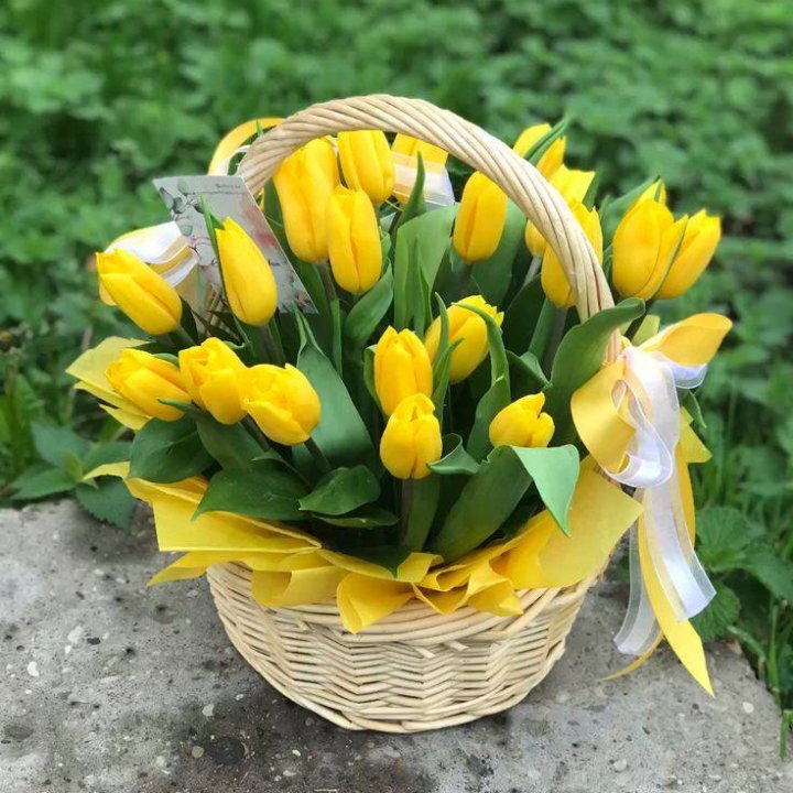 25 желтых тюльпанов в корзине в Адлере