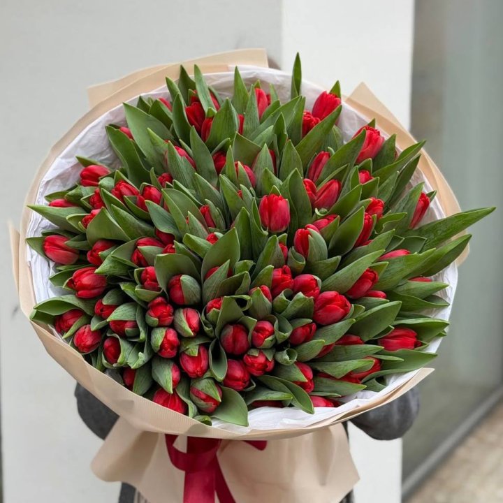 101 красный тюльпан в Адлере