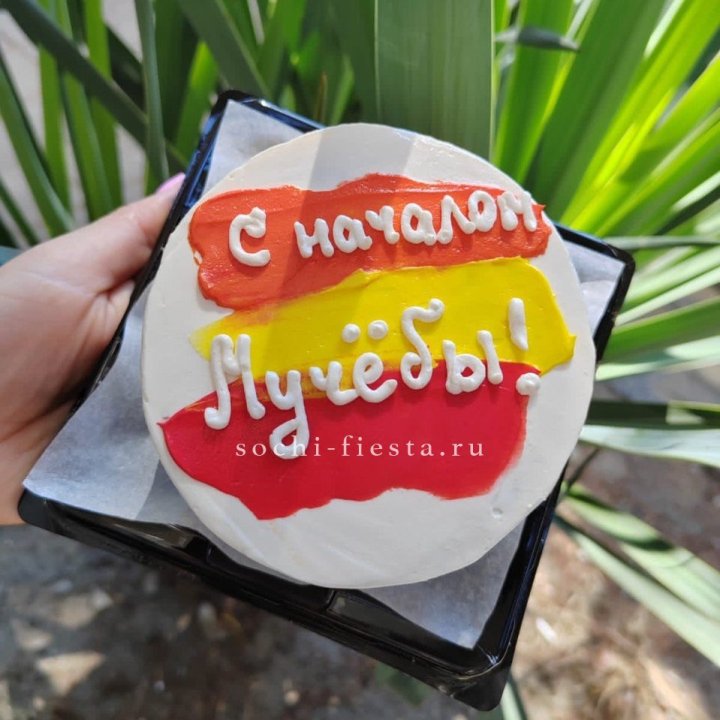 Бенто-торт "С началом учёбы"" в Адлере