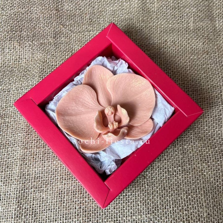 Бельгийский шоколад Орхидея в Адлере