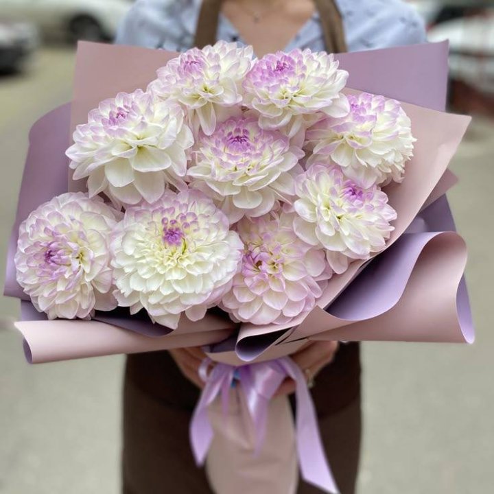 9 бело-фиолетовых георгин в Адлере