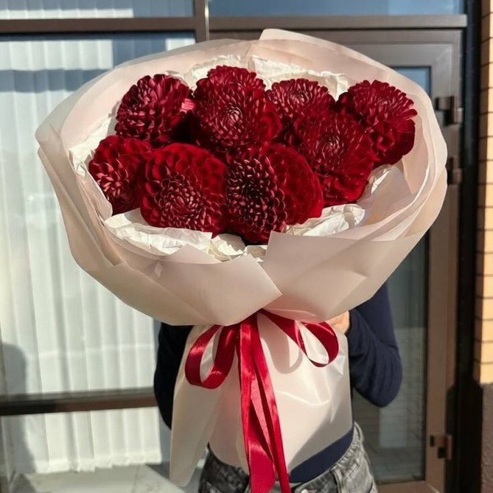 9 красных георгин в Адлере