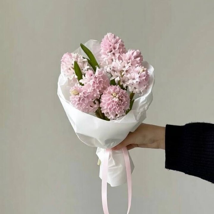 7 розовых гиацинтов в Адлере