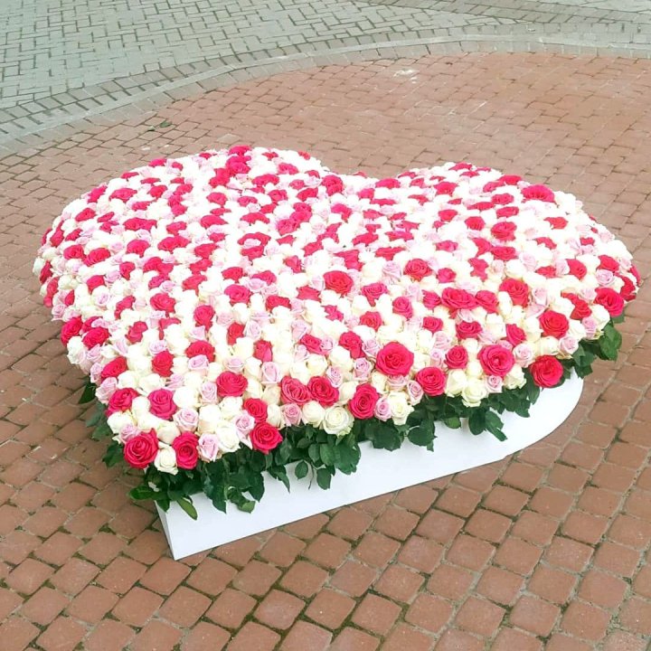 555 роза Heart в Адлере