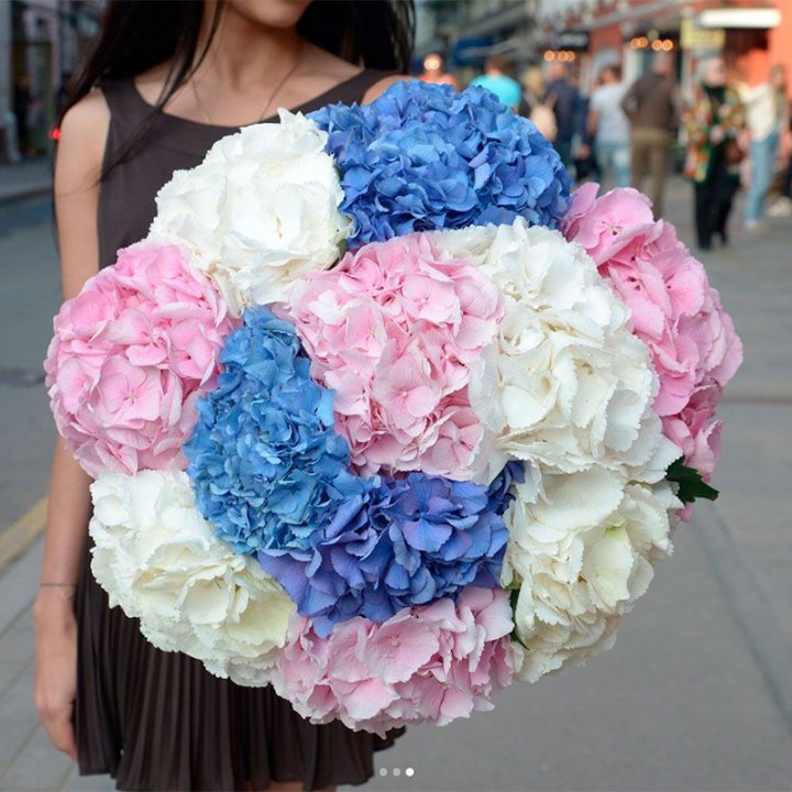 Букет гортензий "Инь-Янь" в Адлере