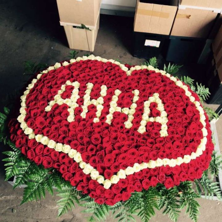 555 роз с именем в Адлере