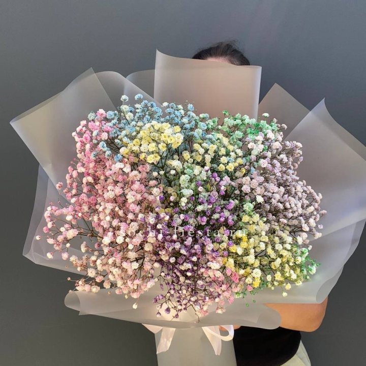 Радужные гипсофилы  в Адлере