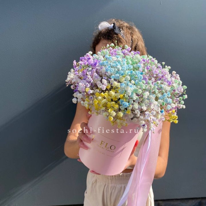 Радужные гипсофилы в шляпной коробке в Адлере