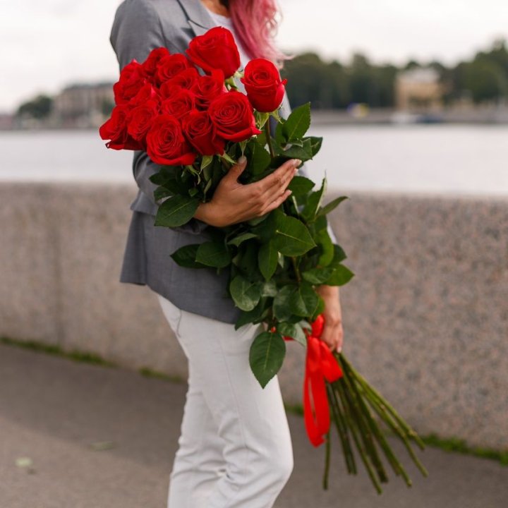 15 метровых голландских роз в Адлере