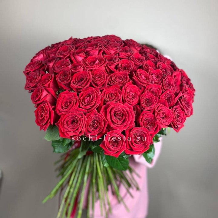 101  голландская роза  в Адлере