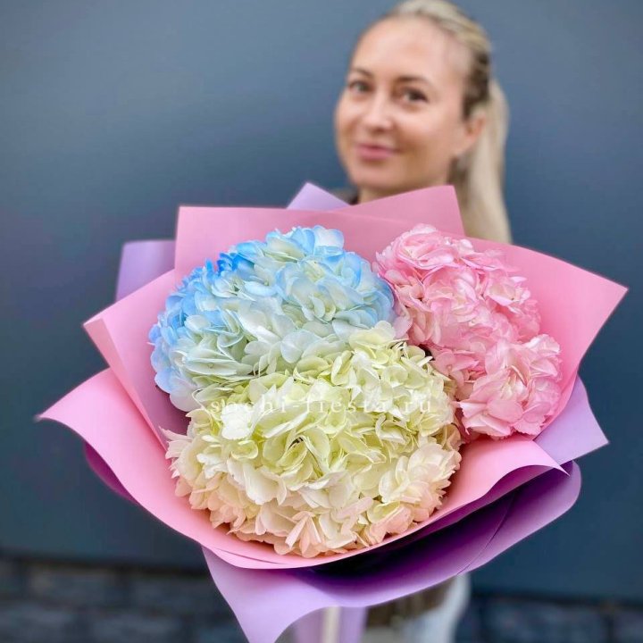 Букет гортензий "Тоника" в Адлере