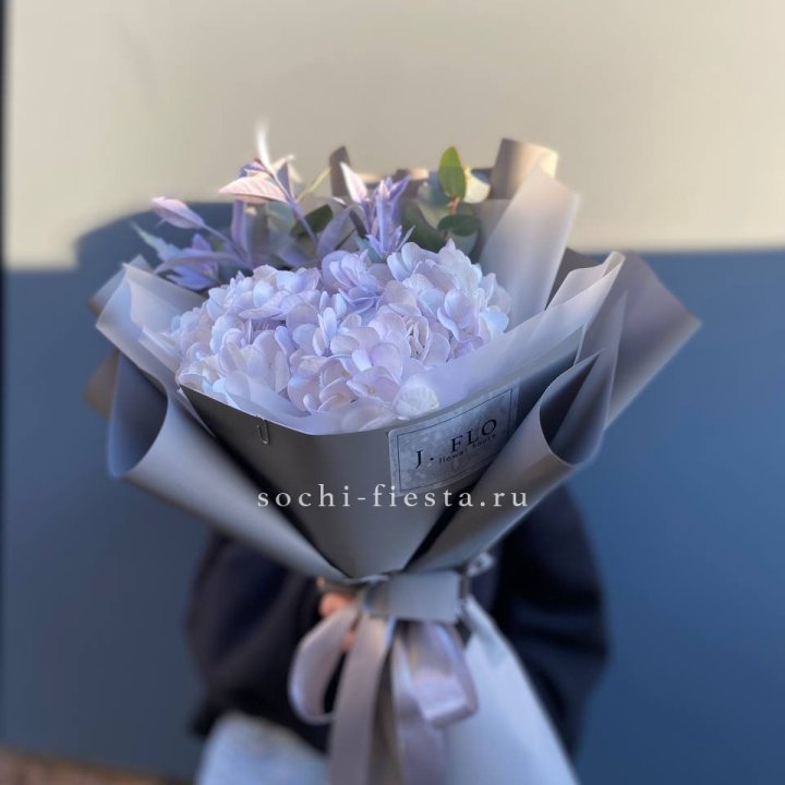 Гортензия "Виолета" в Адлере