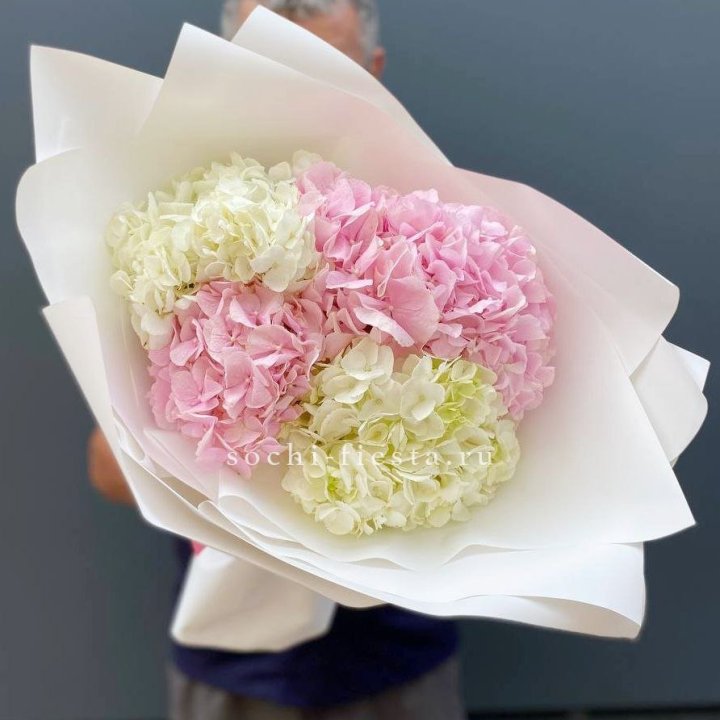 Букет гортензий "Moon" в Адлере