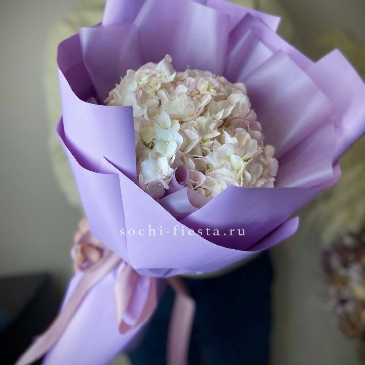 Гортензия UNO Розовая в Адлере