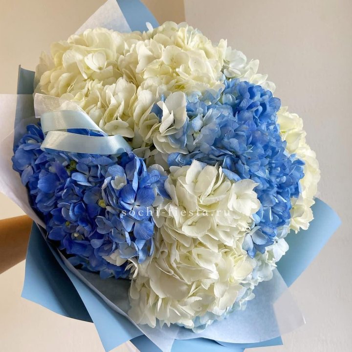 Букет гортензий "Голубая лаза" в Адлере